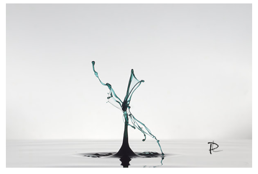 Kinetic Bloom
