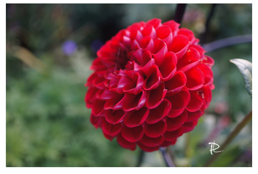 Crimson Sphere