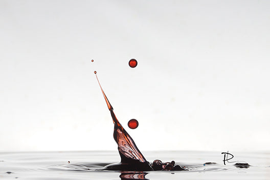Liquid Dendrite