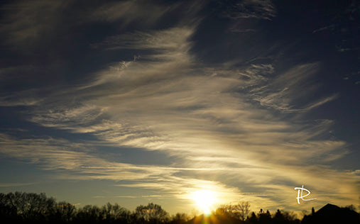 Gossamer Glow