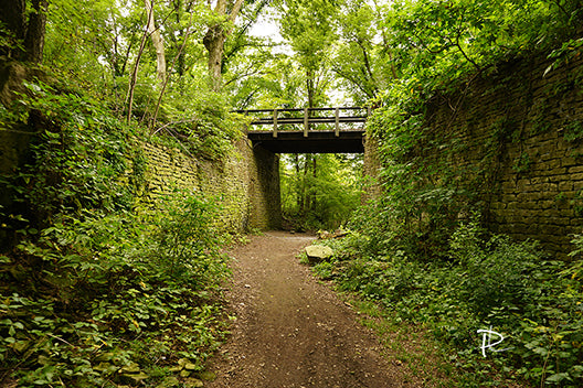 Overgrown Passage