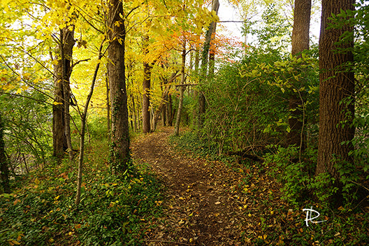 Autumn's Threshold