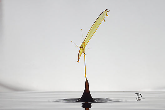 Fluidity Takes Flight