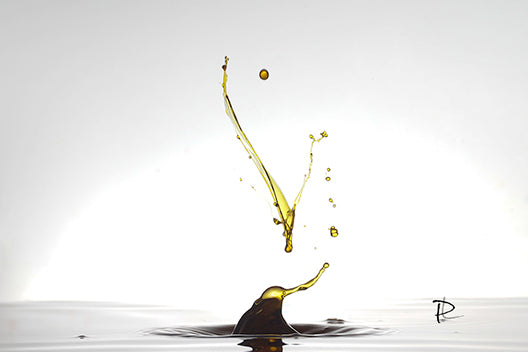 Splash Synapse