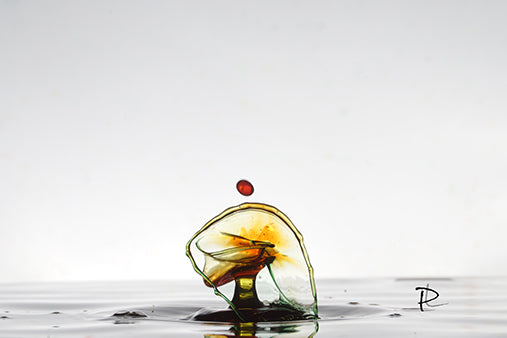 Amber Jellyfish