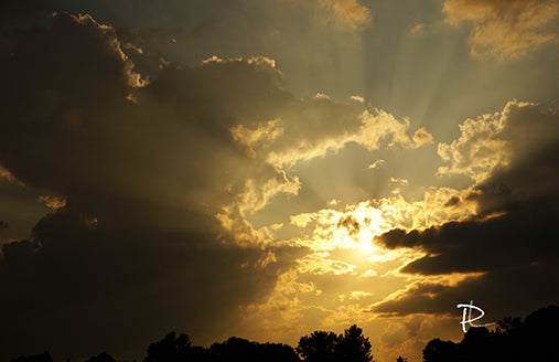 Forging the Day