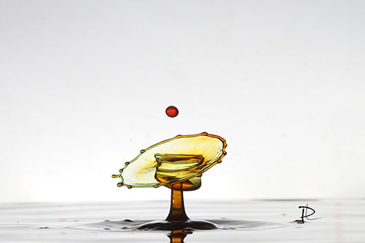 Champagne Saucer Splash