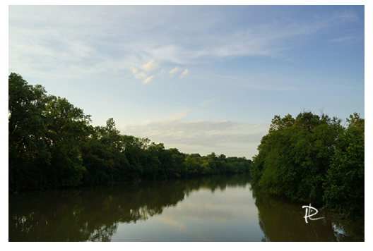 Serene Reflections