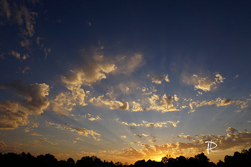 Sunrise Splendor